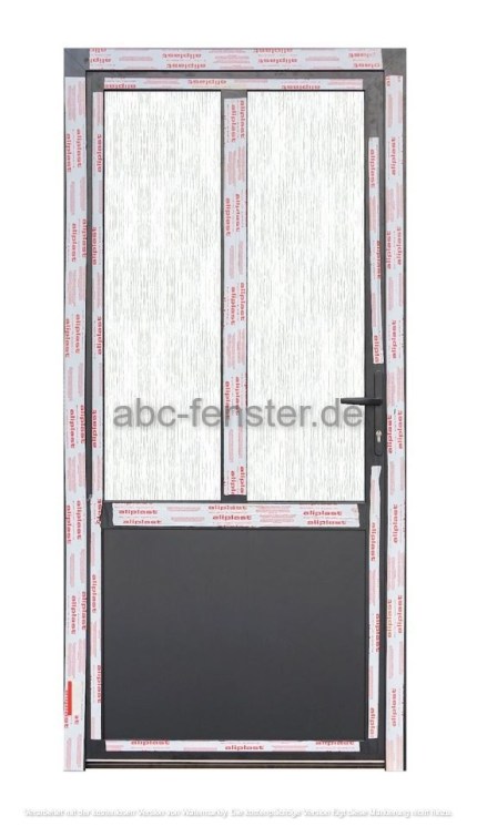 Aluminium Nebeneingangstüre 100 x 210 ALNET2 (schwarz), Profil: Aluplast