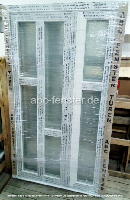 Haustür "HT1" 2flügelig Kunststoff, weiß, 120 cm breit x 205 cm hoch, Salamander